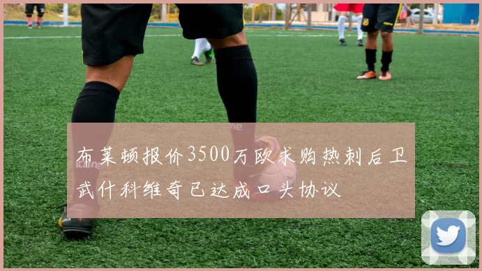 布莱顿报价3500万欧求购热刺后卫武什科维奇已达成口头协议