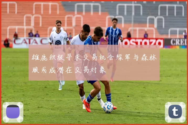 雄鹿积极寻求交易机会绿军与森林狼或成潜在交易对象